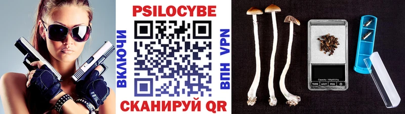 Купить где  Туймазы  Псилоцибиновые грибы мухоморы 
