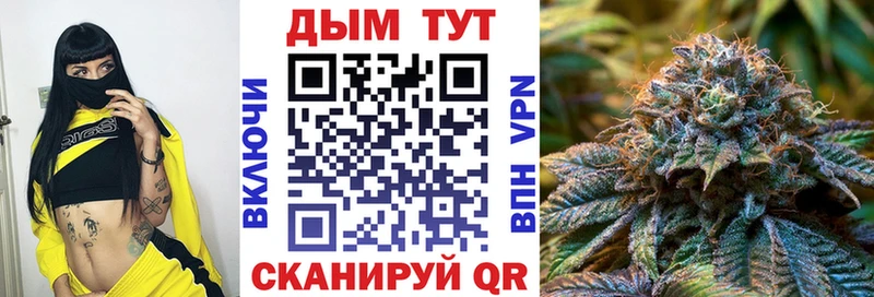 Купить где  Туймазы  Шишки марихуана план 